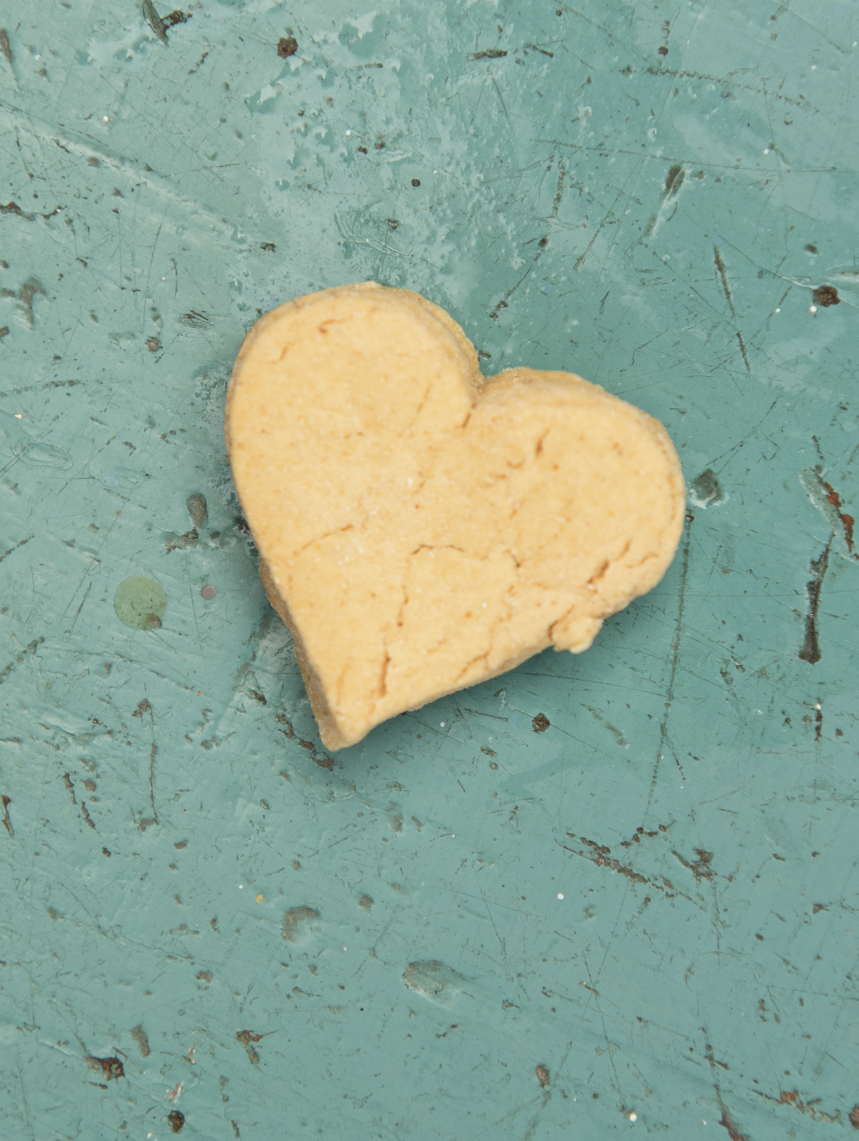 The Pet Issue 2020: Snack Attack